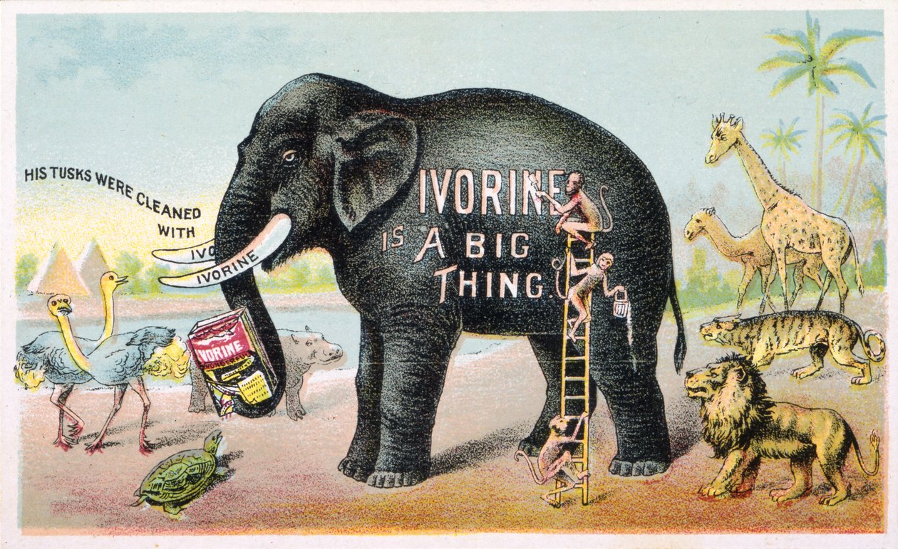 Ivorine er en stor ting (farvelitografi [kort]) af American School