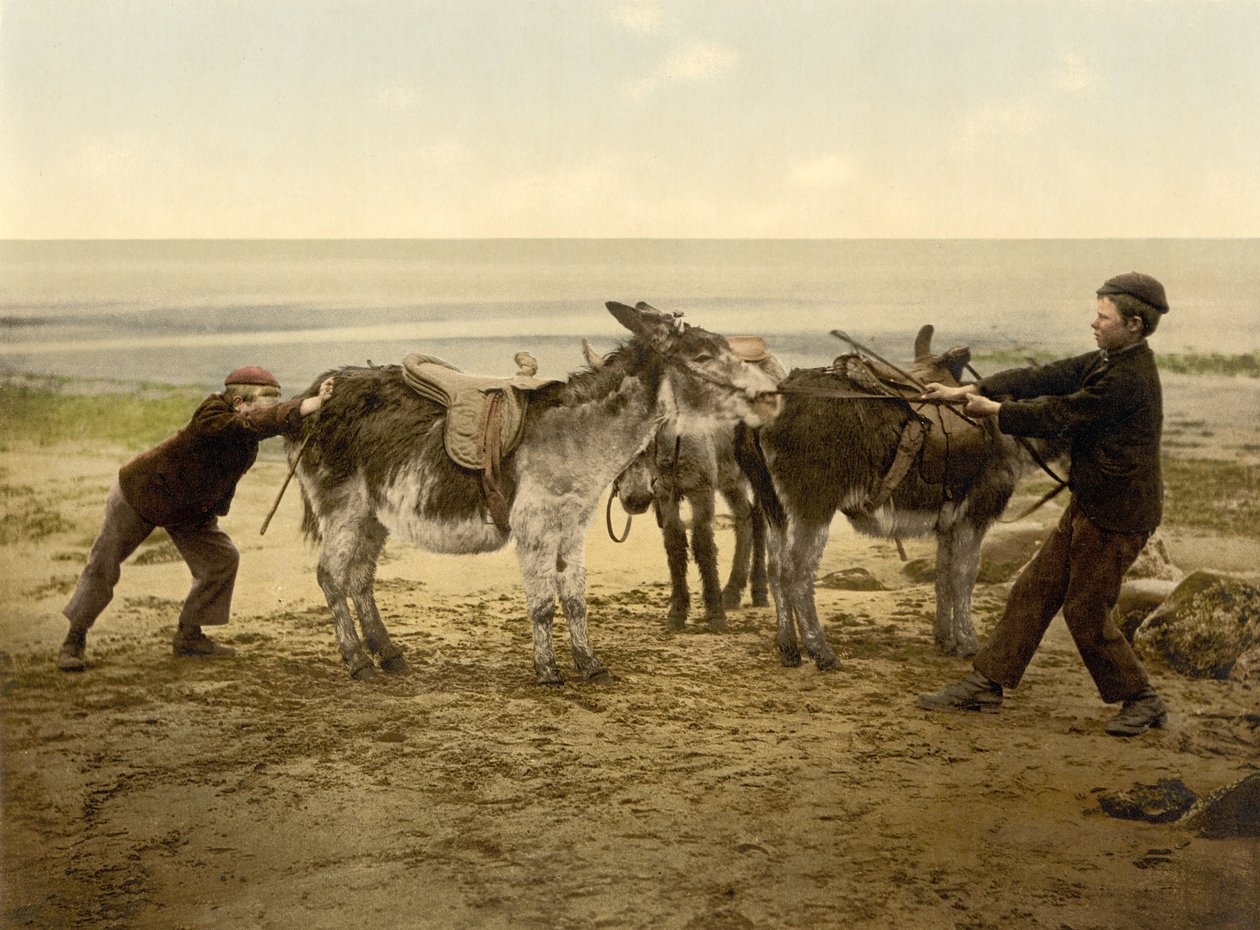 Æsler på stranden, pub. ca. 1890 - 1900 (kromolitografi) af English Photographer