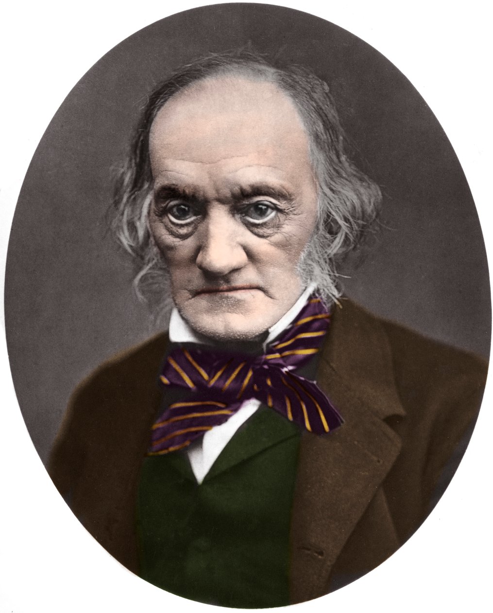 Portræt af den britiske palæontolog og anatom Sir Richard Owen (1804-1892) af French Photographer