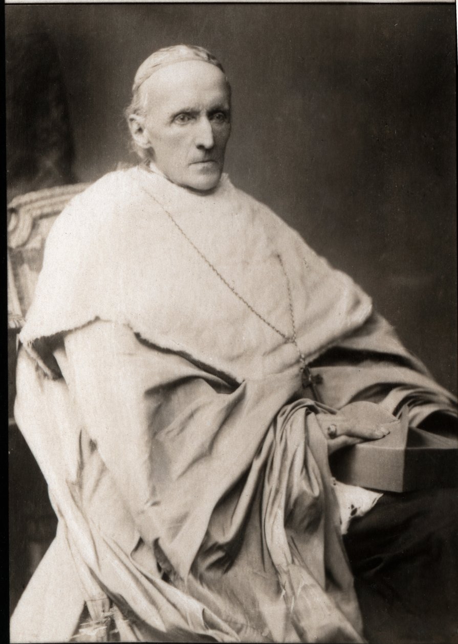 Portræt af kardinal Henry Edward Manning (1808-1892) af French Photographer