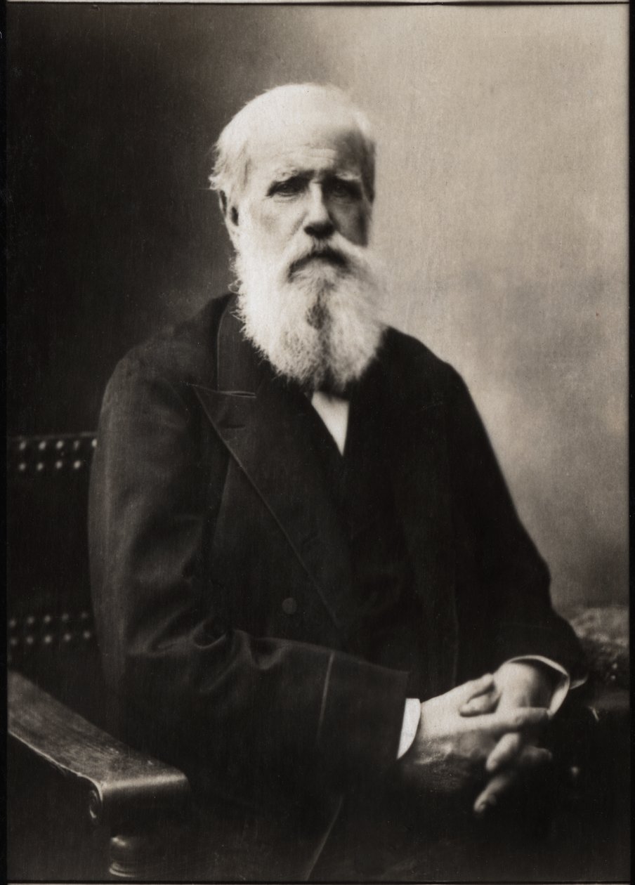 Portræt af Dom Pedro II (Peter II) (1825-1891), kejser af Brasilien. af French Photographer