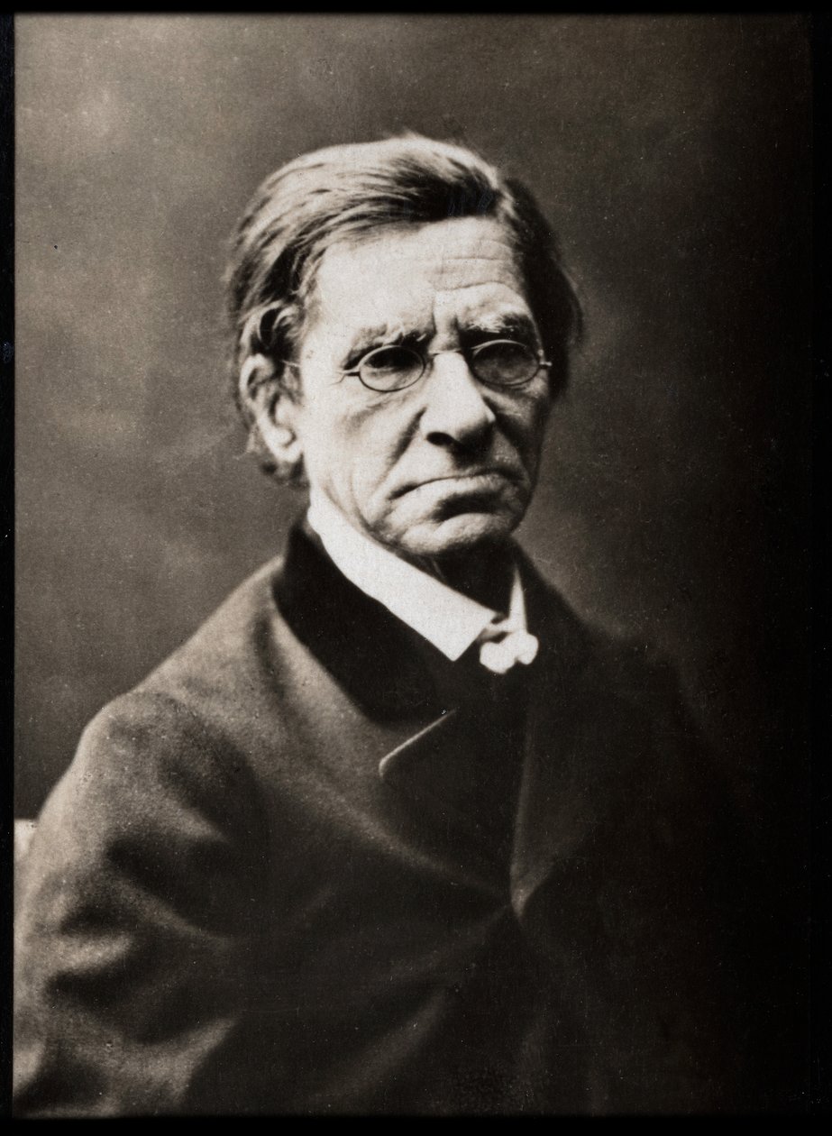 Portræt af Emile Littre (1801-1881), fransk leksikograf og filosof. af French Photographer