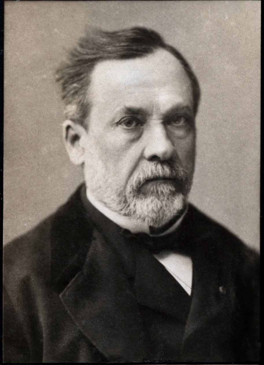 Portræt af Louis Pasteur (1822-1895), fransk kemiker og mikrobiolog. af French Photographer