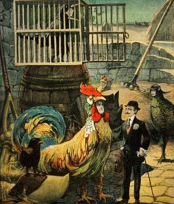 Chantecler, versspil af Edmond Rostand, forside af Le Petit Journal, 30. januar, 1910 af French School
