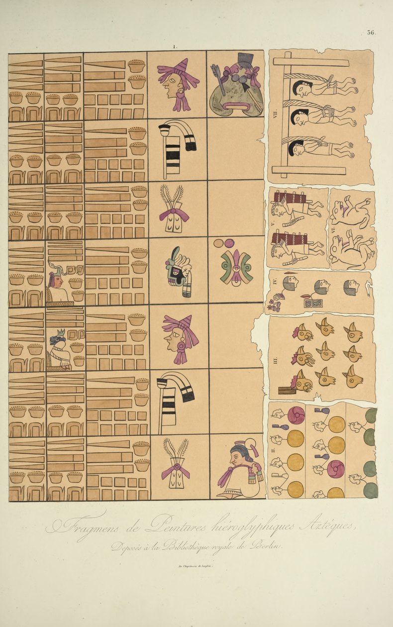 Fragmenter af aztekiske hieroglyfiske malerier fra Det Kongelige Bibliotek i Berlin, illustration fra Views of the Cordilleras and Monuments of the Indigenous Peoples of America af Alexander von Humboldt og Aime Bon af French School