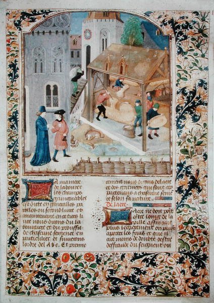 Ms 5064 fol.35r Threshing, fra Livre des Prouffitz Champestres af Pietro de Crescenzi (1230-132021) af French School
