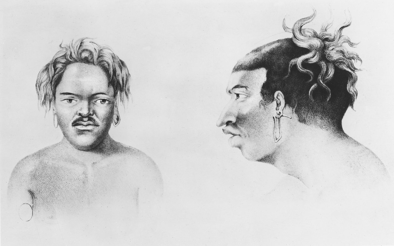 Typer af øboere, illustration fra Rejsen til Sydpolen og Oceanien af French School
