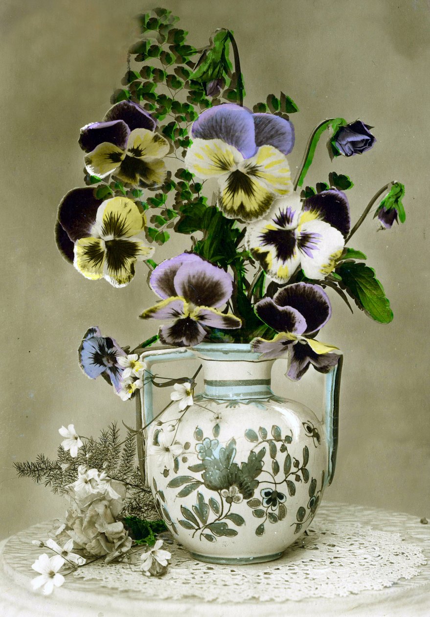 Vase med stedmoderblomster ca. 1898 (håndfarvet foto) af French School