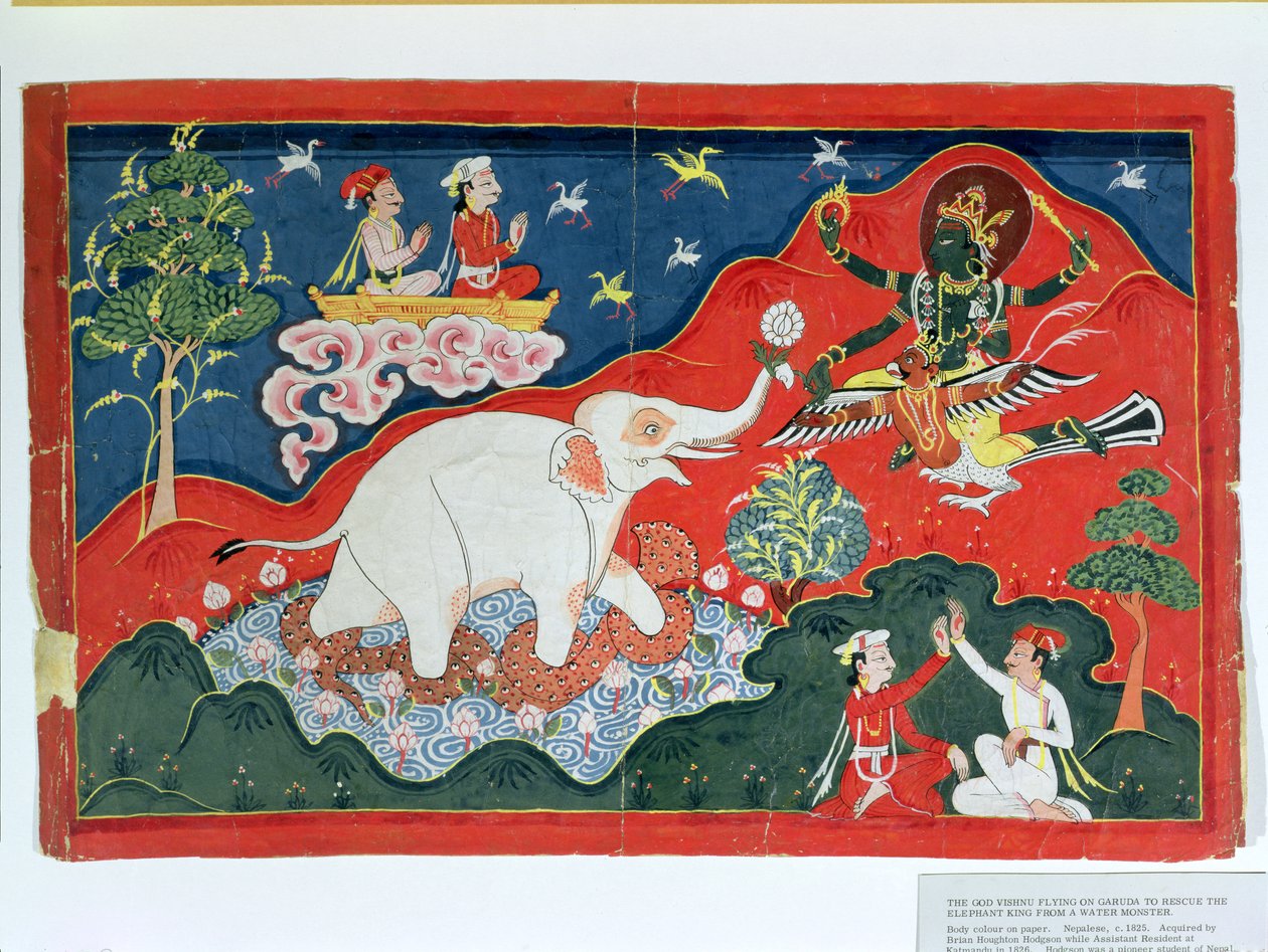 Guden Vishnu flyver på Garuda for at redde elefantkongen fra et vandmonster, nepalesisk, ca. 1825 af Indian School