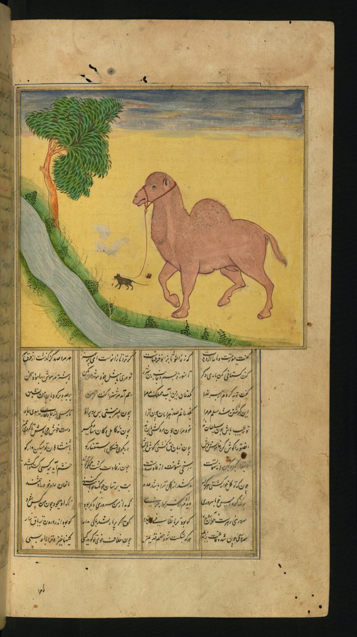 A Mouse, Clutching the Reins of a Camel, at a Stream of Water, illustration fra A Collection of Poems, af Jalal al-Din Rumi, 1663 (blæk & pigmenter på papir) af Persian School