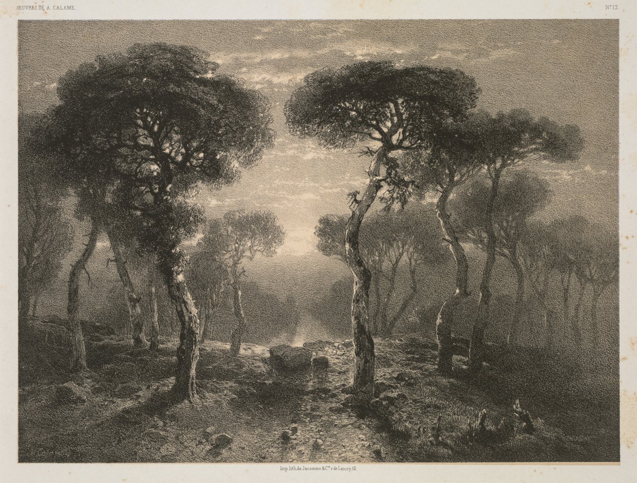 Værker af A. Calame, nr. 13: Forest of Sierre in Valais, 1843 udgivet 1851. af 12 Jacomme and Cie. R. de