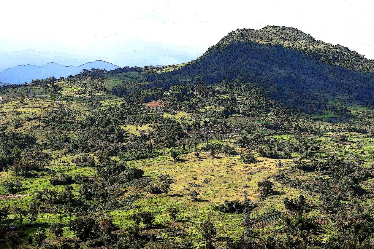Cebu Hills af Detlef B. Fischer