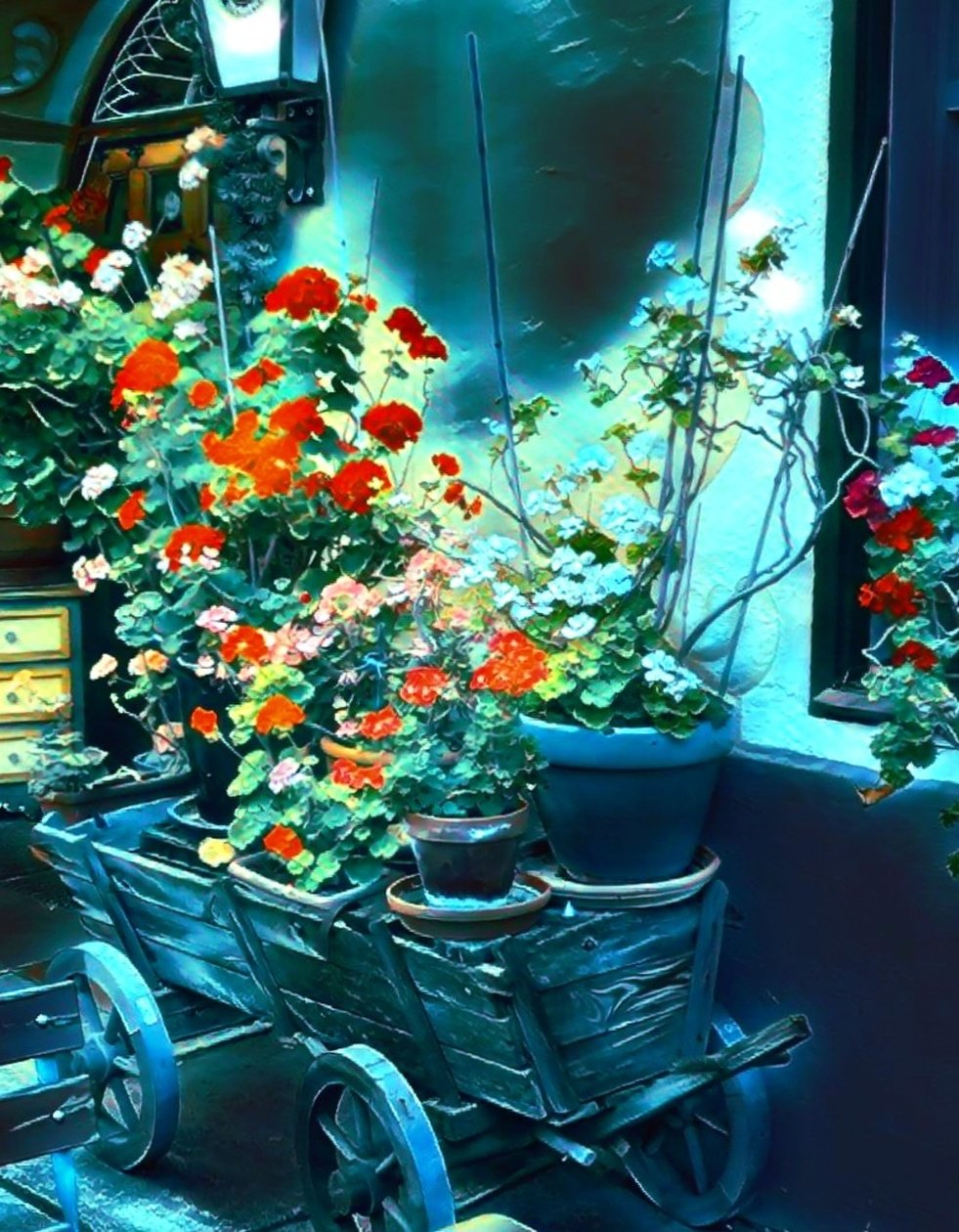 Blomster i måneskinnet. af Margareta Uliarte
