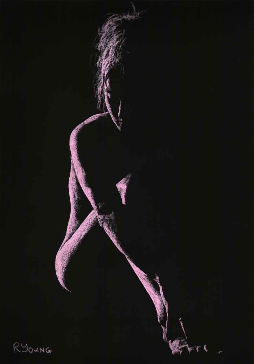 Beslutninger af Richard Young