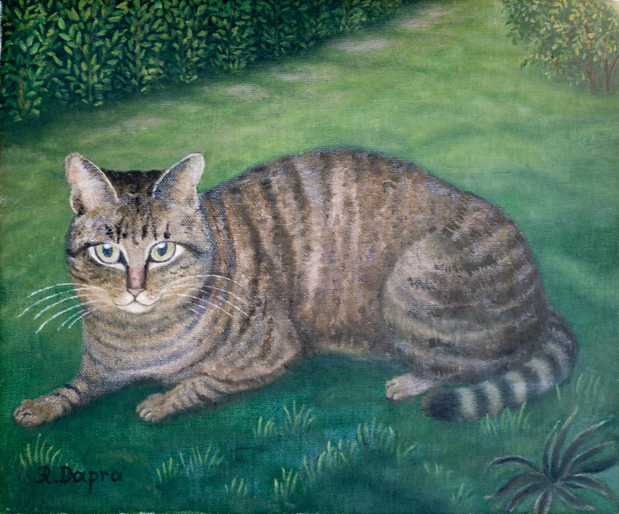 Katten Julia af Regine Dapra
