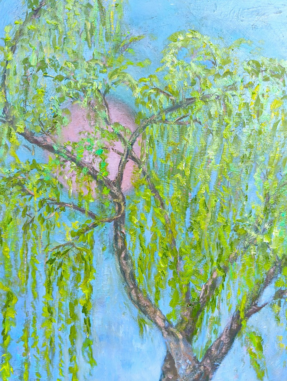 Pilen, der ikke ler af Elzbieta Goszczycka