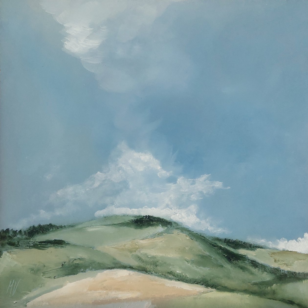 Den flade bakke af M. Vet