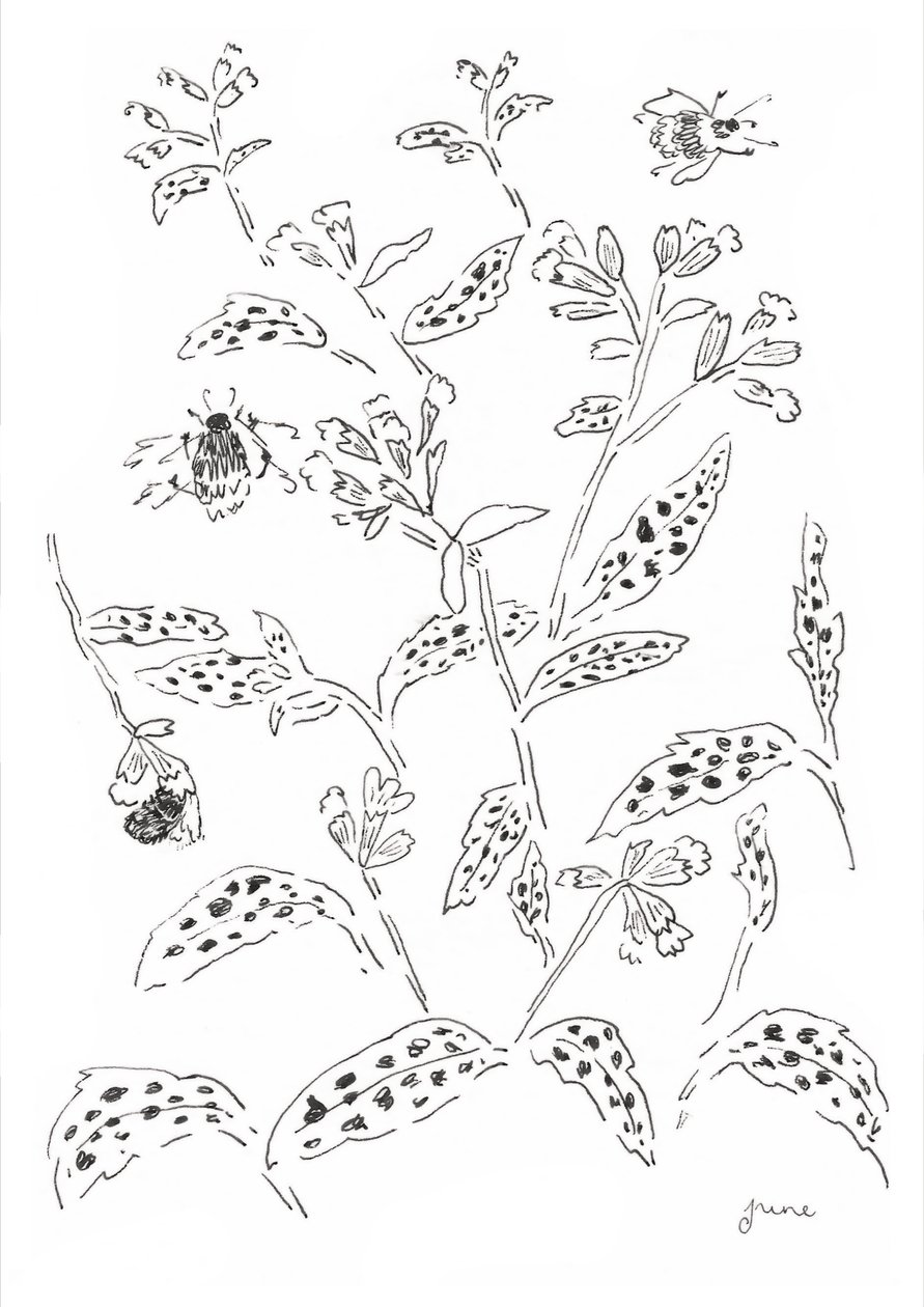  af june art