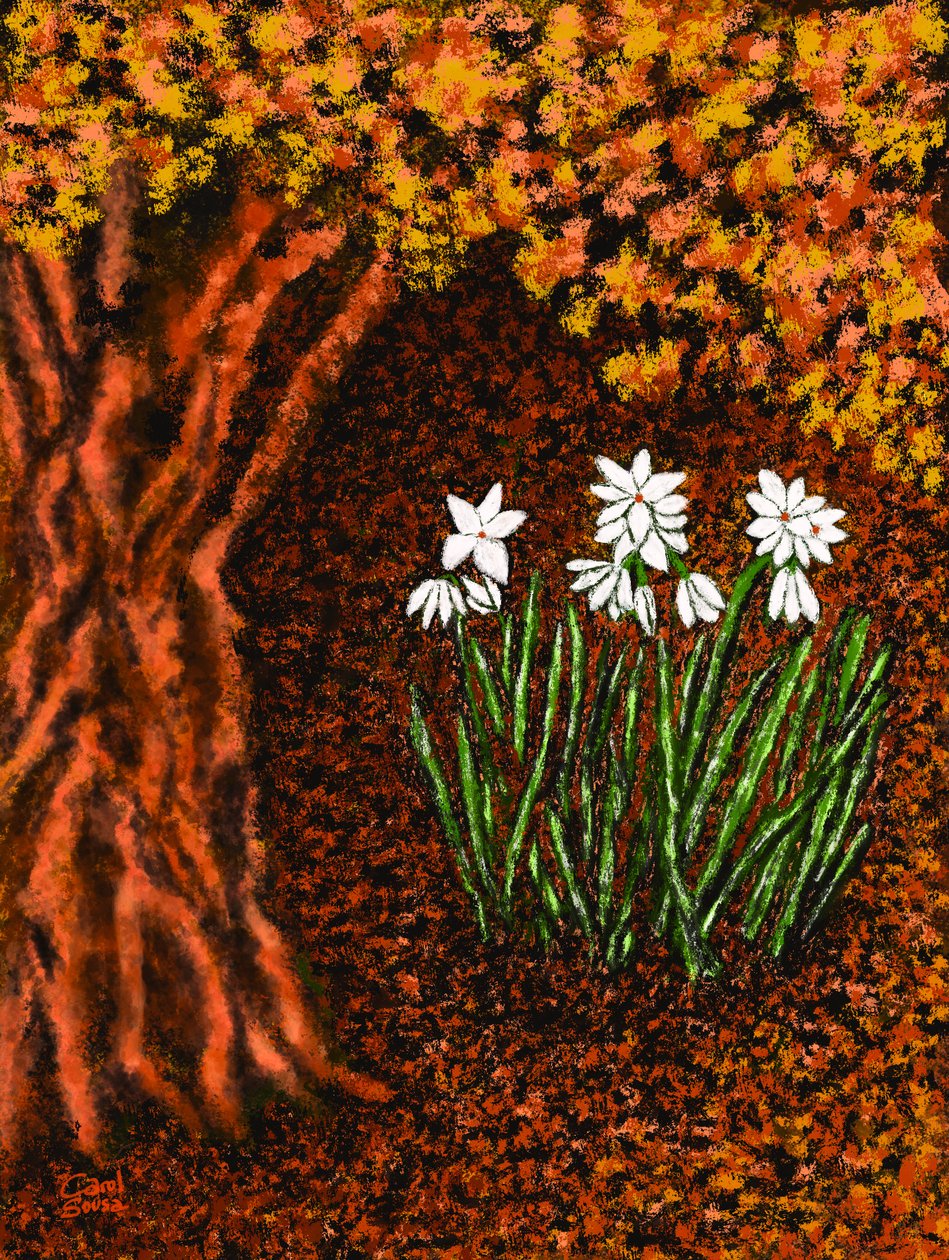 Herbstblumen af Carol Sousa Cuello