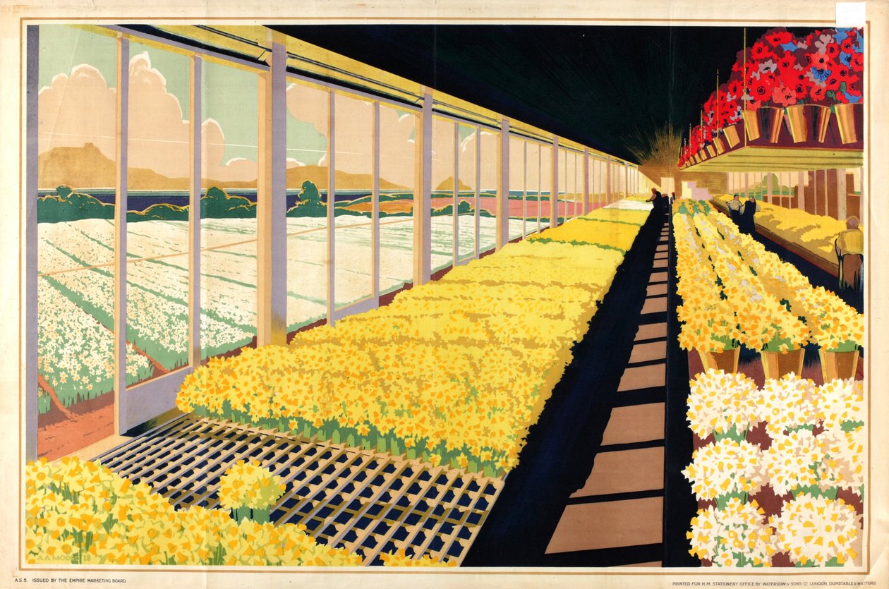 Nimetön, sarjasta "Home Bulbs for Home Gardens" (väri litho) af A.A. Moores