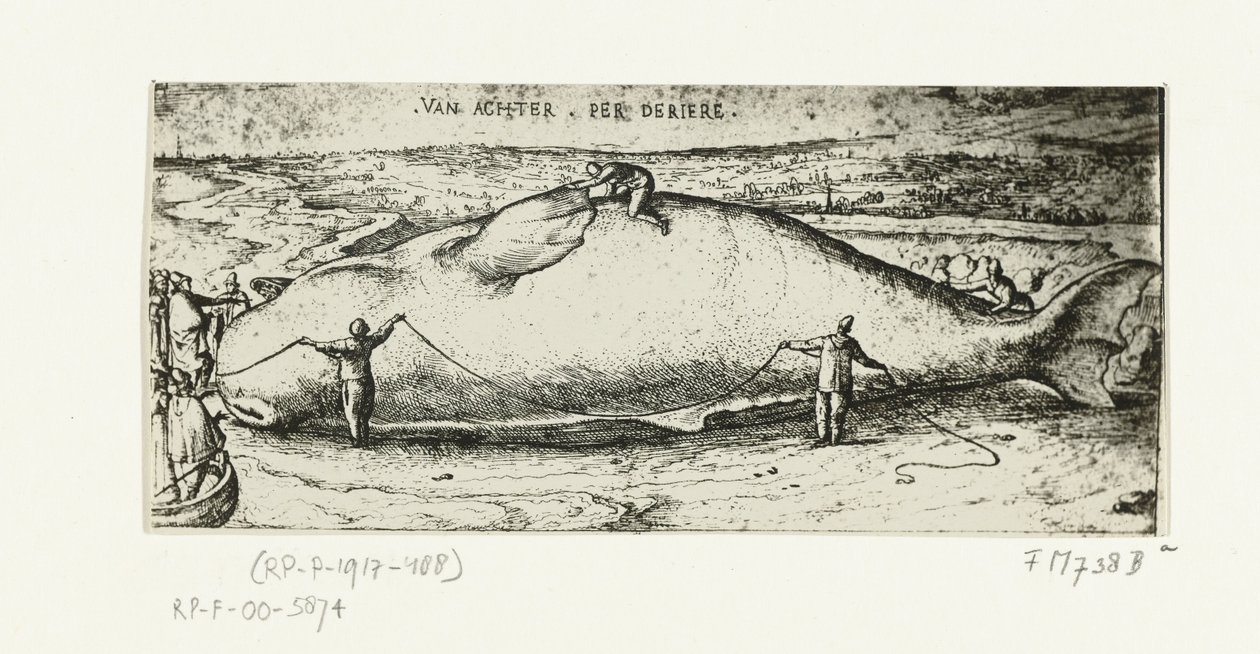 Print af den opvaskede hval nær Antwerpen, 2. juli 1577 af A.B. van Deinse