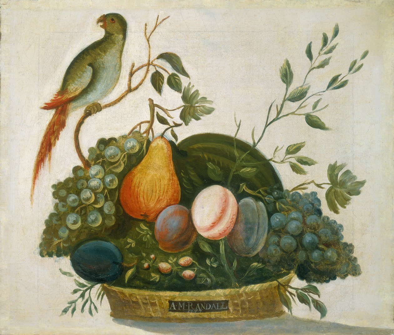 Frugtkurv med papegøje, 1777. af A.M. Randall