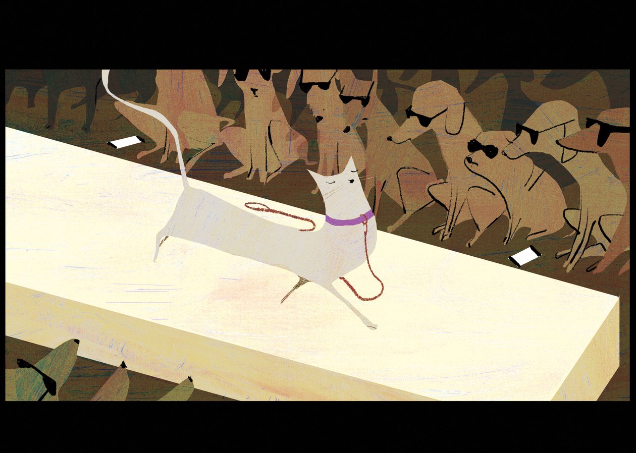 Catwalk, 2016 af A.Richard Allen