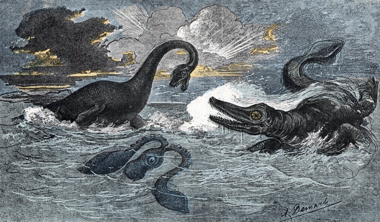Plesiosaur og en ichthyosaur fra den nedre jura periode af A. Demarle