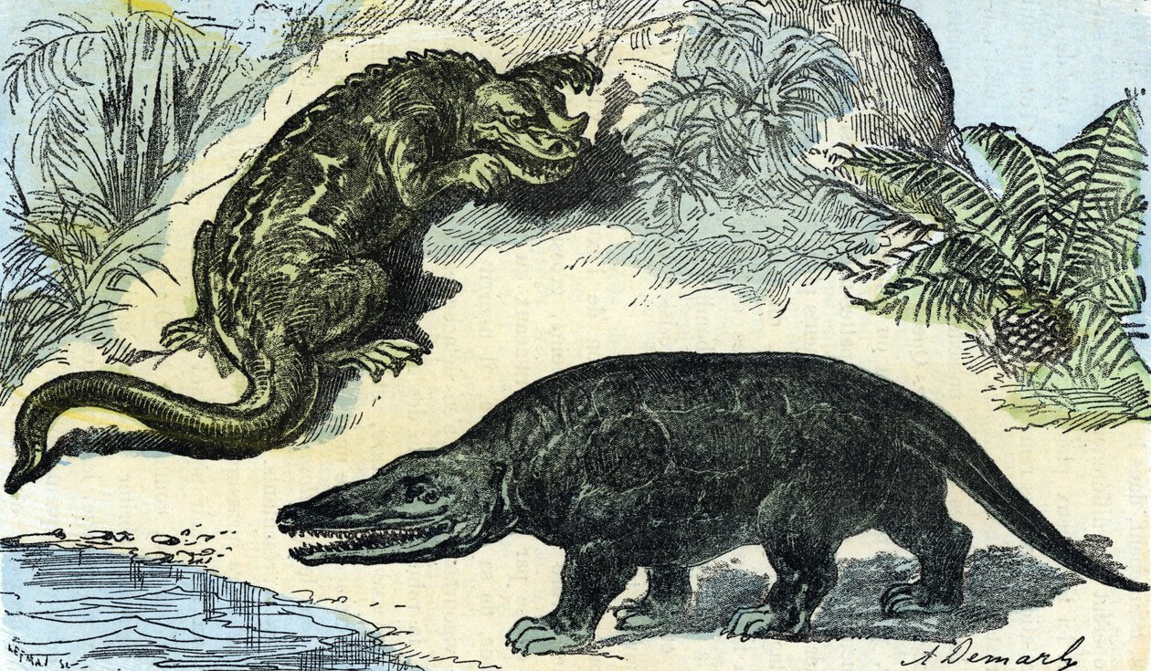 Forhistorie: repræsentation af en iguanodon og megalosaurus fra kridtperioden af A. Demarle