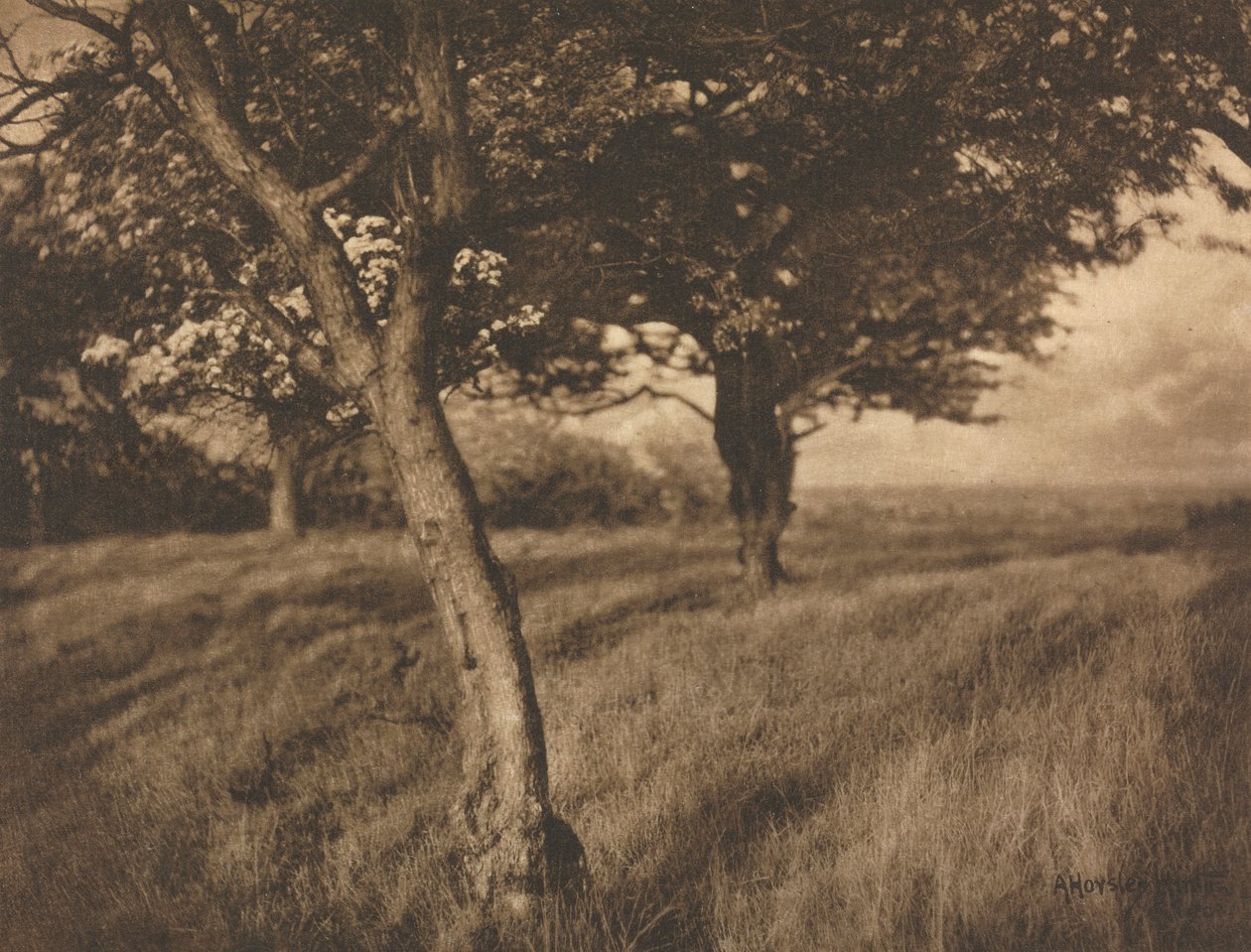 Kameraarbejde: Beyond af A. Horsley Hinton