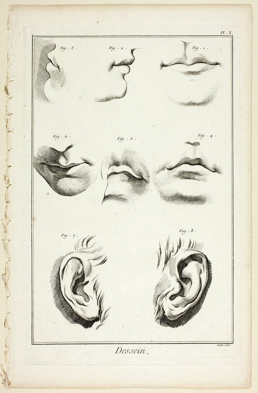 Design: Facial Anatomy fra Encyclopédie af A. J. Defehrt