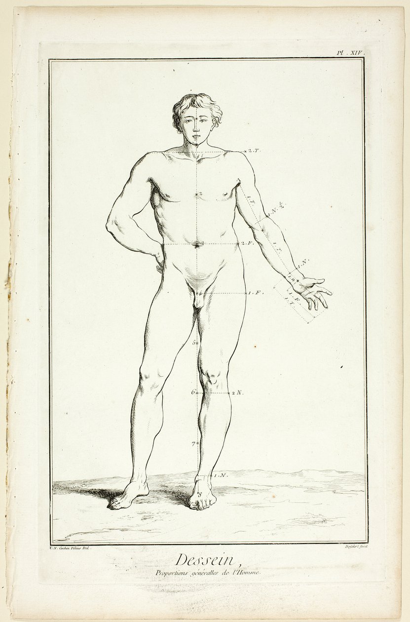 Design: Mandens generelle proportioner, fra Encyclopédie af A. J. Defehrt