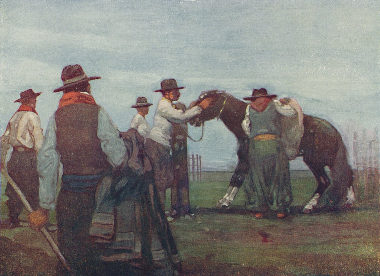 Gauchos bryder ind en ung hest, 1916 af A. S. Forrest