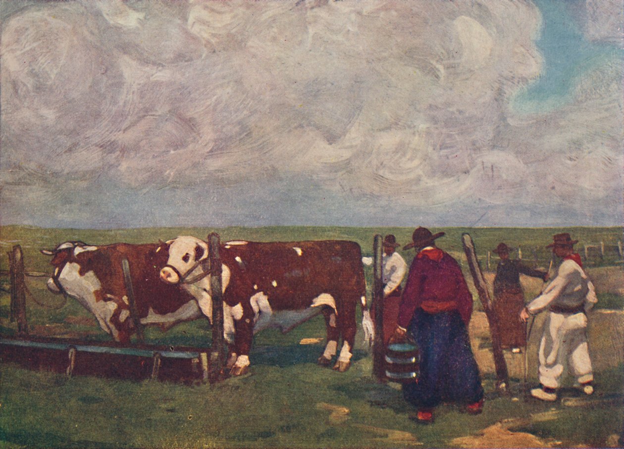 Stamtavle Oxen on a a Lemco Estancia, 1916 af A. S. Forrest