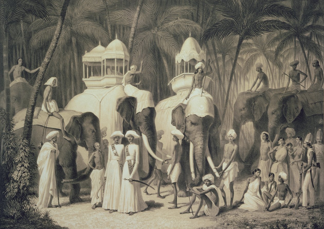 Elephants of the Raja of Travandrum, fra 