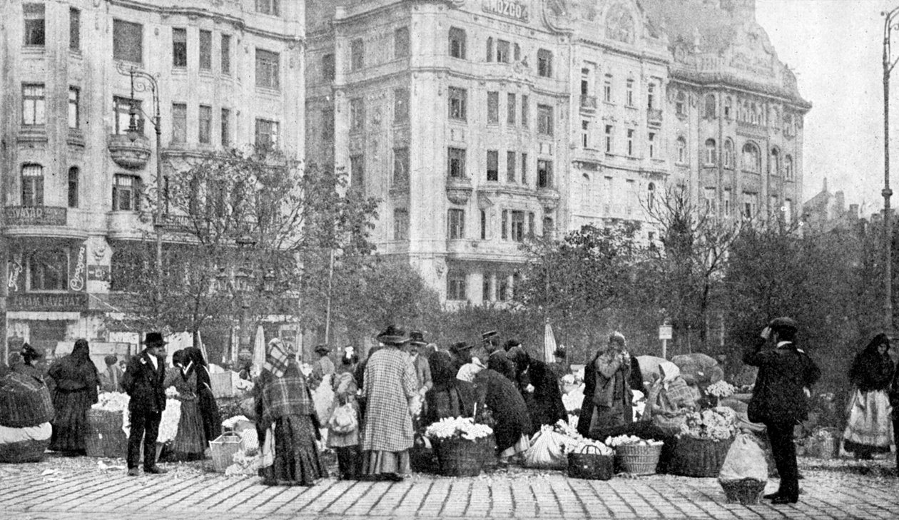 Stort marked med blomster, Budapest, Ungarn, 1922. af A. W. Cutler