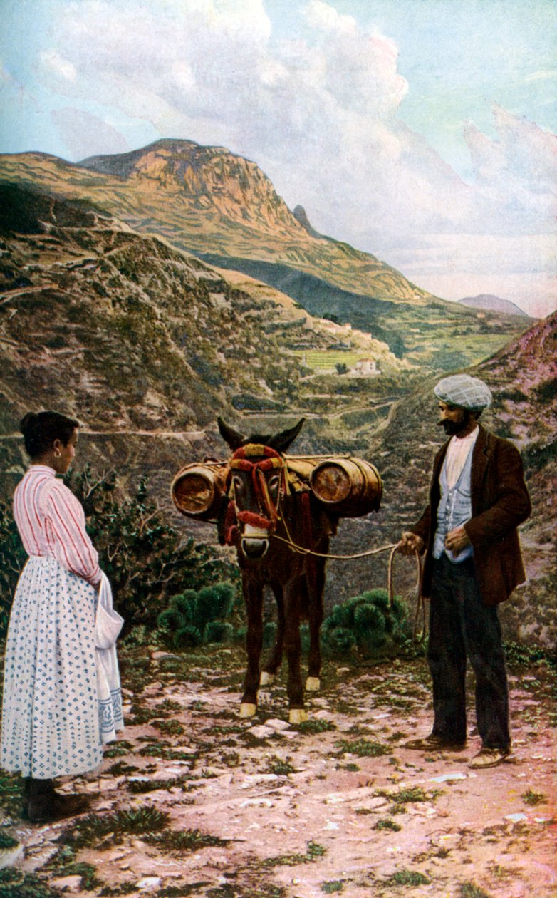 Muldyr med vandfade, Sicilien, Italien, c1923 af A. W. Cutler