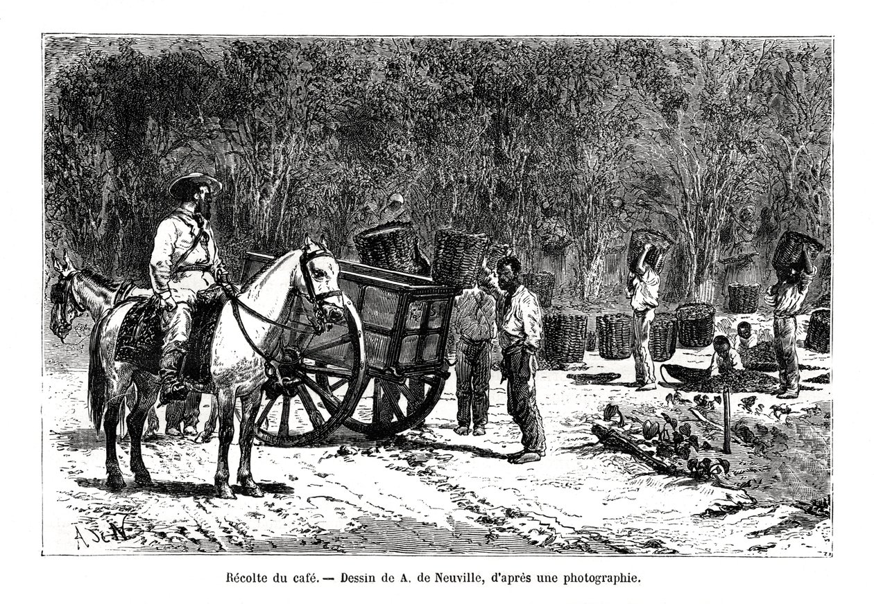 Høst kaffen, Brasilien, 1800-tallet af A. de Neuville