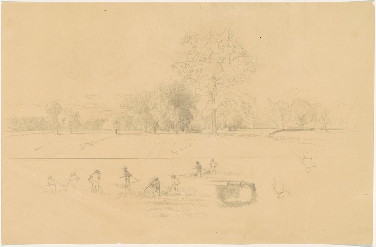 Harvesting, New England af Aaron Draper Shattuck