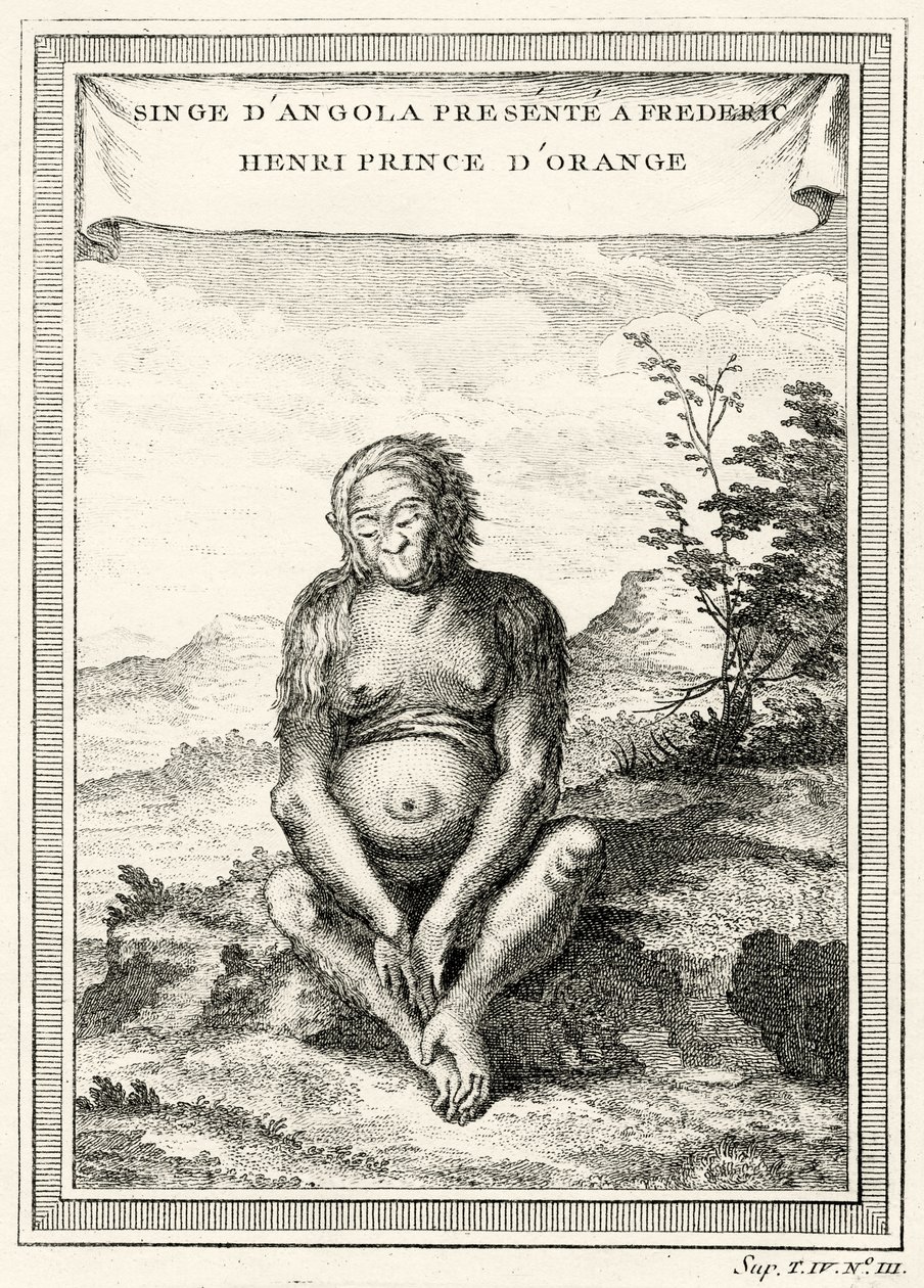 Illustration af den orangutang, der blev præsenteret for Frederik Henrik, prins af Orange, i 1750 af Abbé Prévost