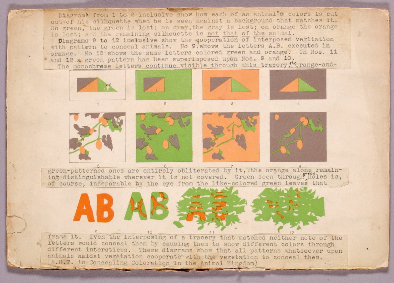 Diagramm und Kupferkopfschlange, Studienmappe für das Buch Concealing Coloration in the Animal Kingdom af Abbott Handerson Thayer