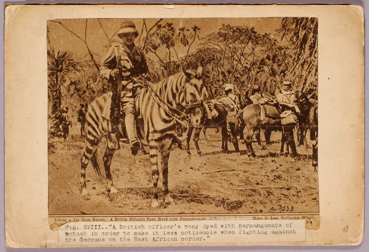 Horse and Cruiser Camouflaged, studiemappe til bogen Concealing Coloration in the Animal Kingdom (Skjult farve i dyreriget) af Abbott Handerson Thayer