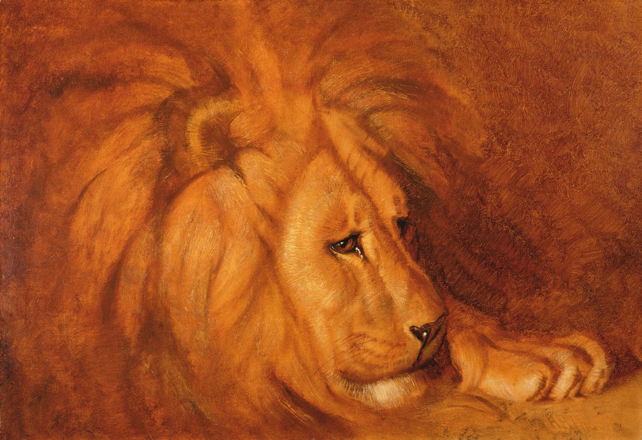 Løve i hvile (olie på lærred) af Abbott Handerson Thayer