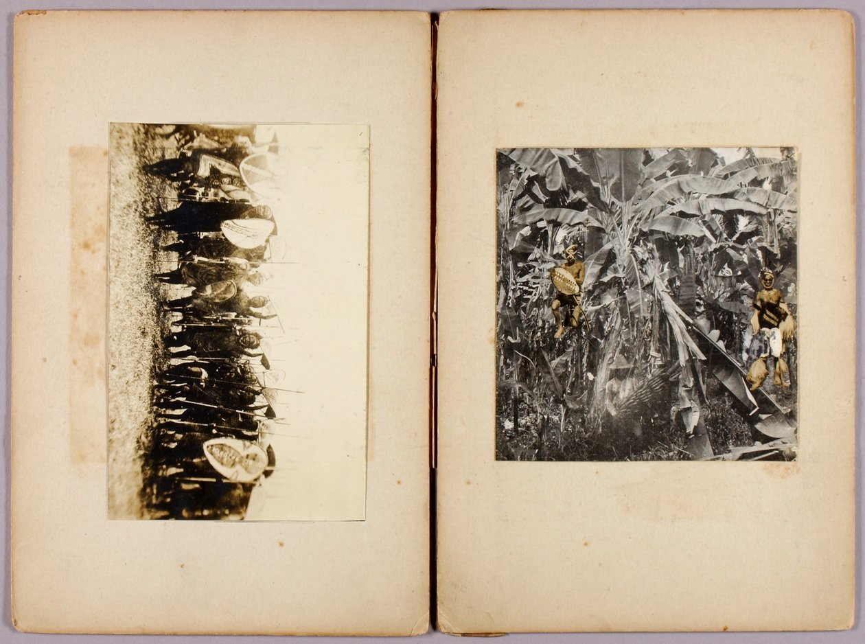 Māorier og andre vilde, studiemappe til bogen Concealing Coloration in the Animal Kingdom af Abbott Handerson Thayer