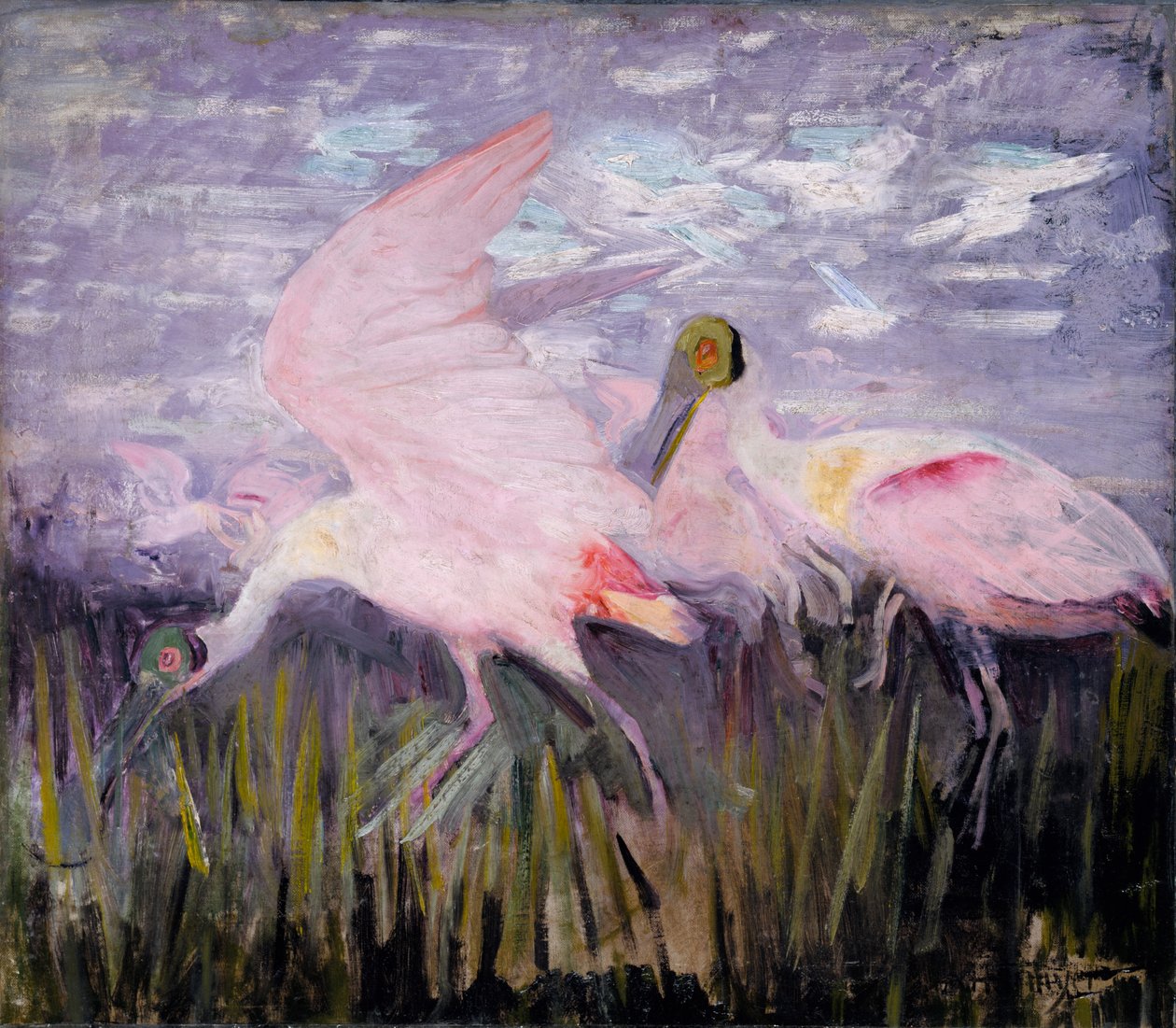 Roseate Spoonbills, studie til bogen Concealing Coloration in the Animal Kingdom, ca. 1905-1909. af Abbott Handerson Thayer
