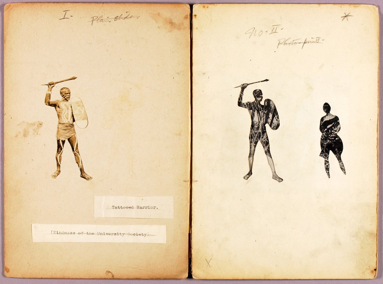 Tattooing--Single Warrior, studiemappe til bogen Concealing Coloration in the Animal Kingdom (Skjult farve i dyreriget) af Abbott Handerson Thayer