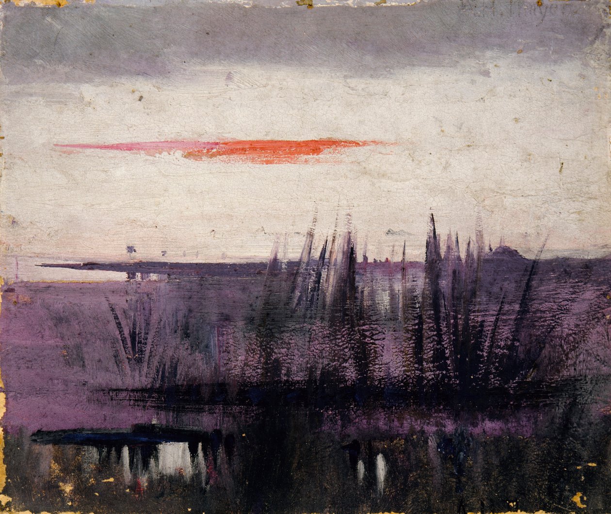 Himlen simuleret af hvide flamingoer studie til bogen Skjult farve i dyreriget af Abbott Handerson Thayer