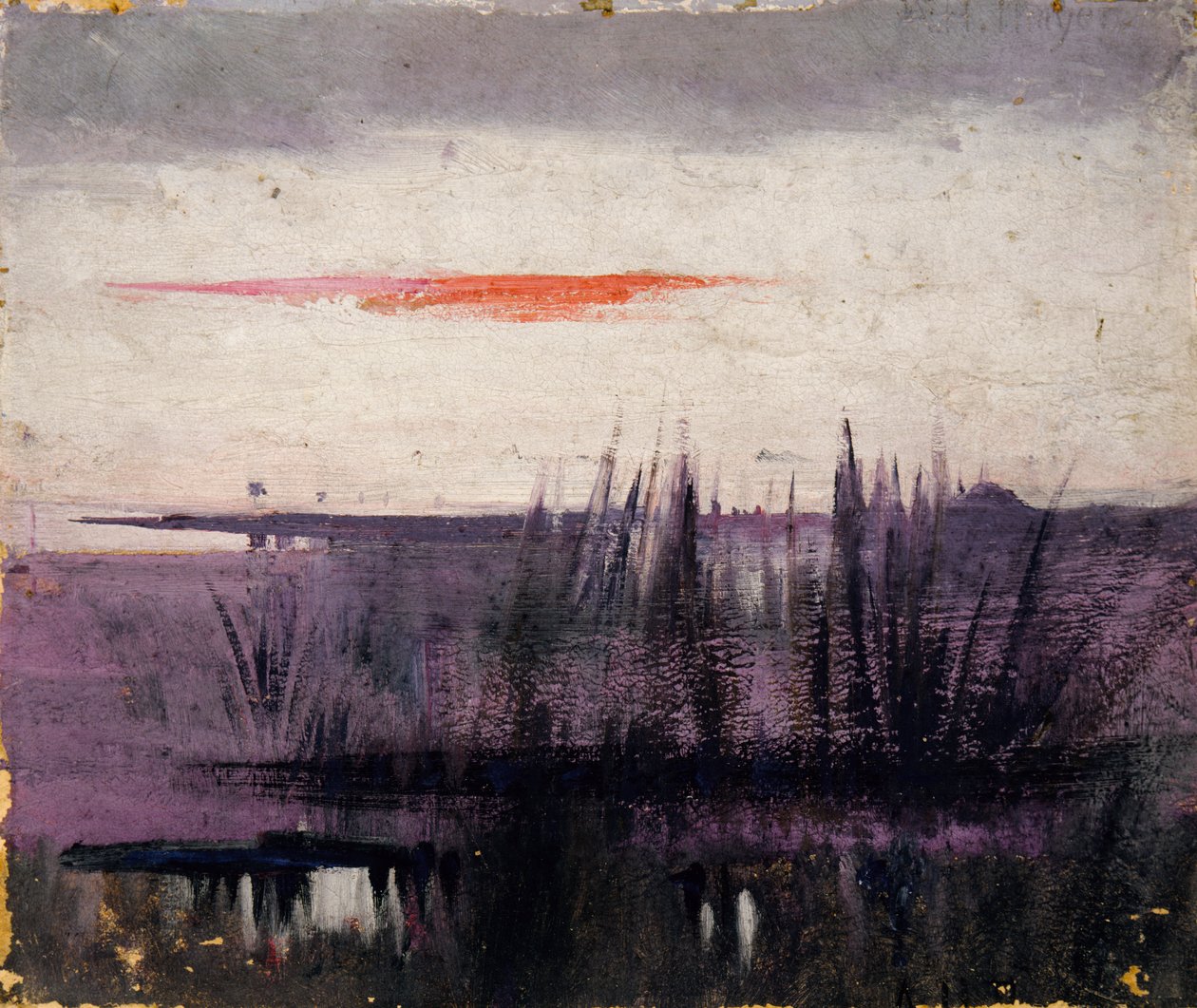The Sky Simulated by White Flamingoes studie til bog..., i Animal Kingdom, ca. 1905-1909. af Abbott Handerson Thayer