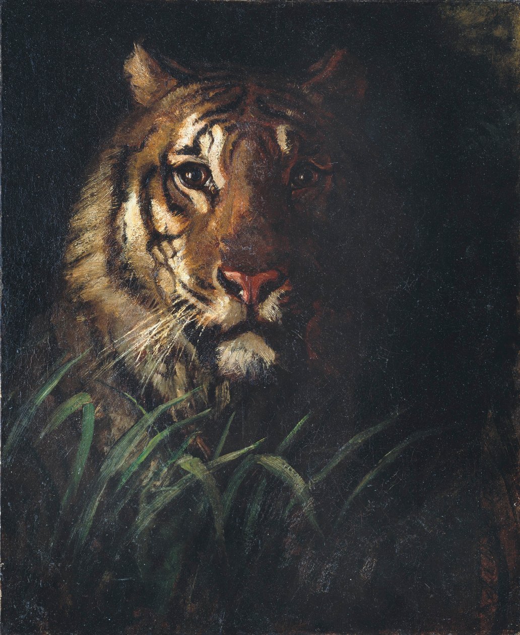 Tigerens hoved af Abbott Handerson Thayer