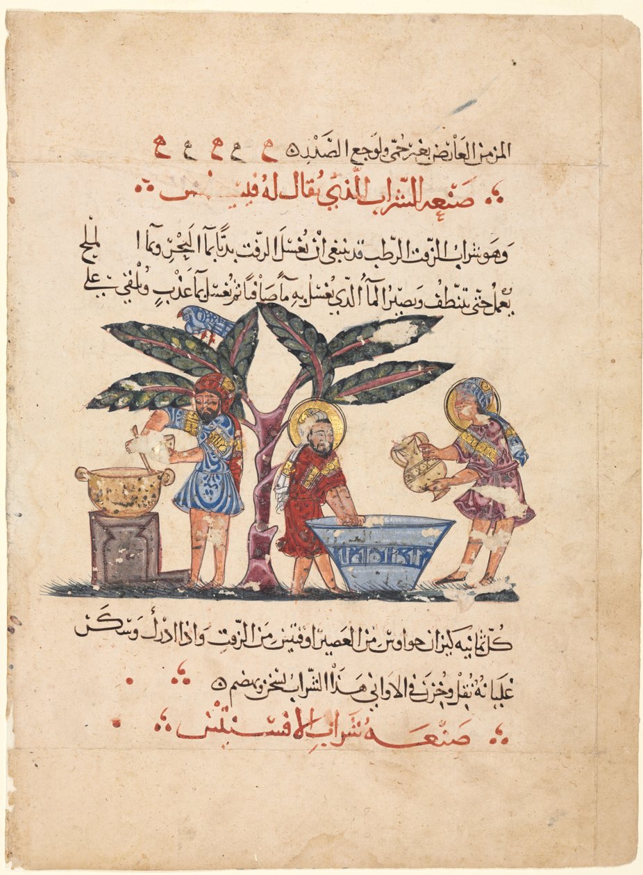 Folio fra en arabisk oversættelse af Materia Medica of Dioscorides, 1224. af Abdallah ibn al Fadl
